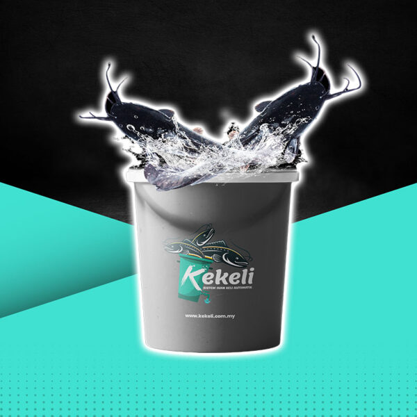 set-single-kekeli Set Single Kekeli Automatik