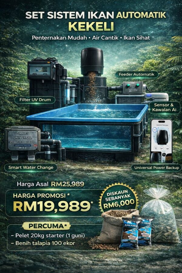 Set Complete Kolam Ikan Besar